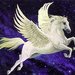 Pegasus Restaurari - Opere de arta si monumente istorice